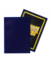 Dragon Shield Matte Night Blue